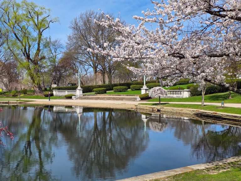 Lake Erie Cherry Blossom Viewing Guide